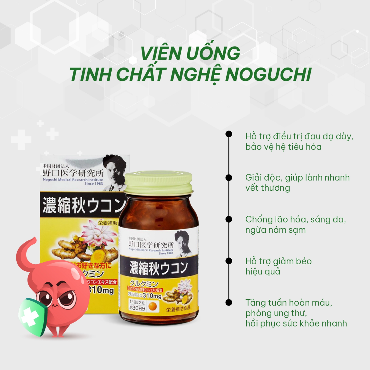 Viên Uống Tinh Chất Nghệ Mùa Thu Giải Độc Gan Noguchi hỗ trợ bảo vệ hệ tiêu hóa và đường ruột khỏi các vi khuẩn sống kí sinh trong ruột
