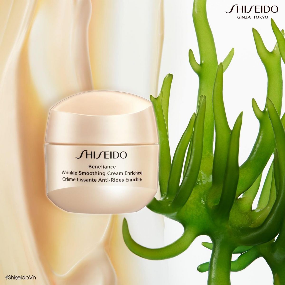 Các thành phần có trong Shiseido Benefiance Wrinkle Smoothing Cream Enriched