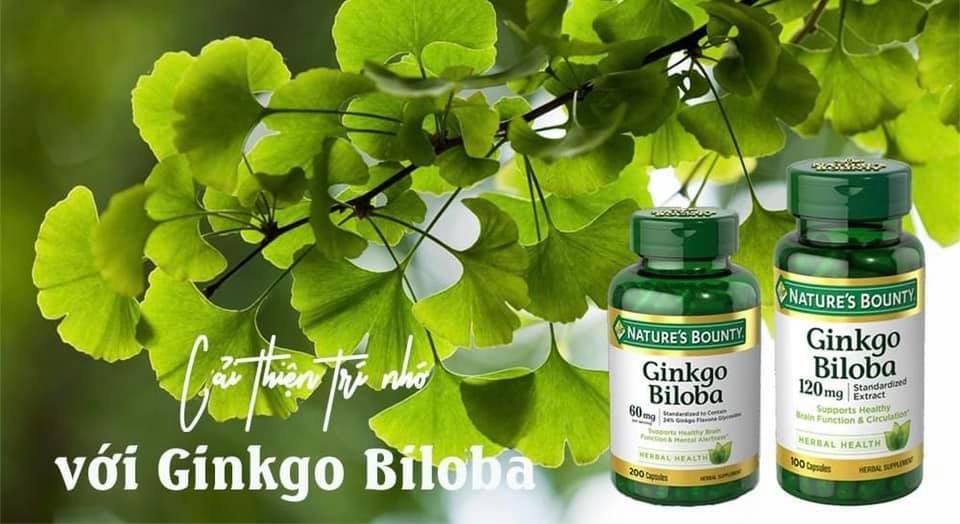 Viên Uống Nature's Bounty Ginkgo Biloba