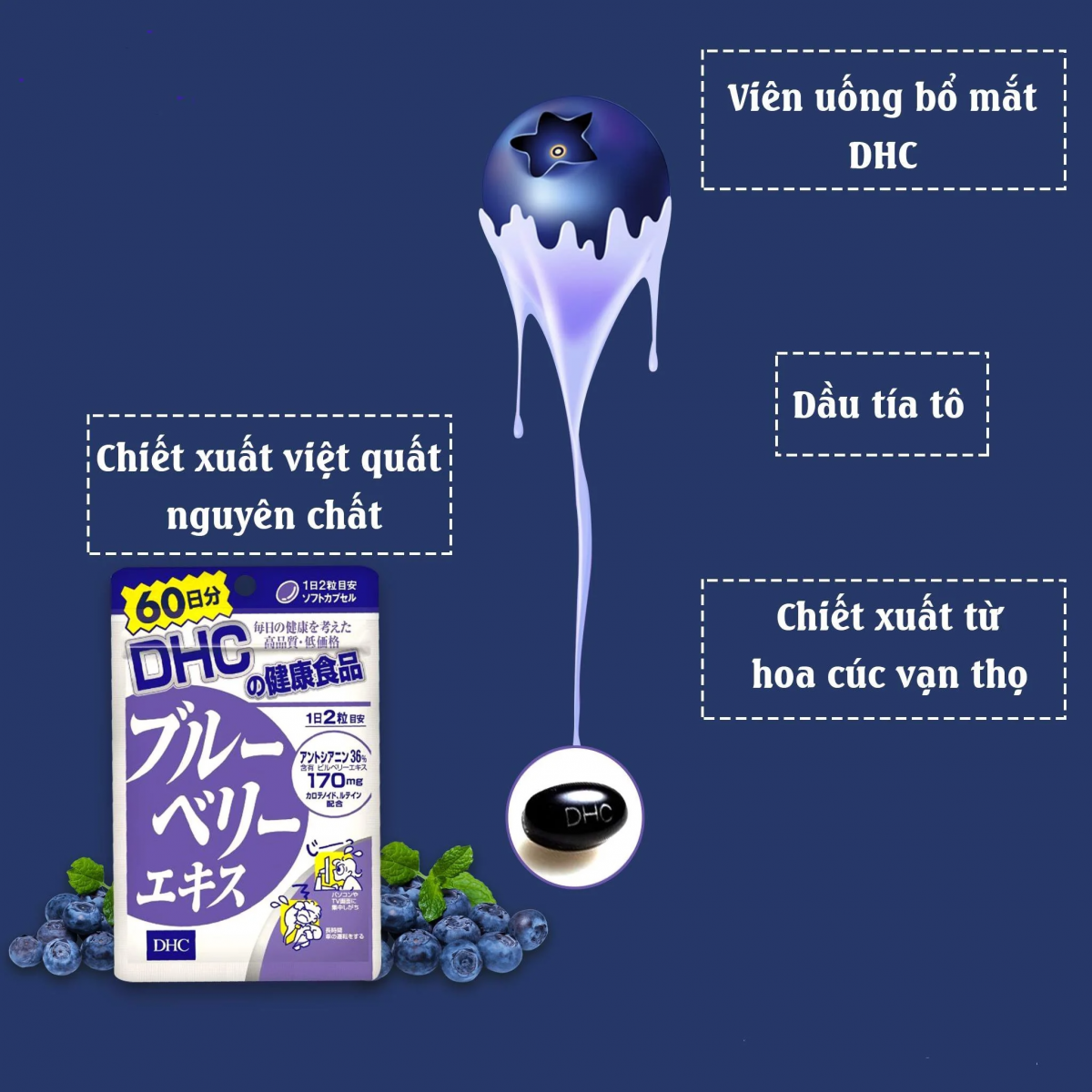 Các thành phần có trong Viên Uống Việt Quất DHC Blueberry Extract Giúp Bổ Mắt