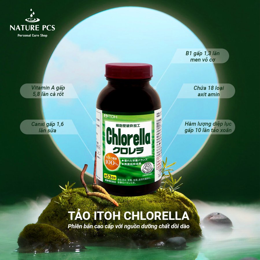 Các thành phần có trong Tảo ITOH Chlorella