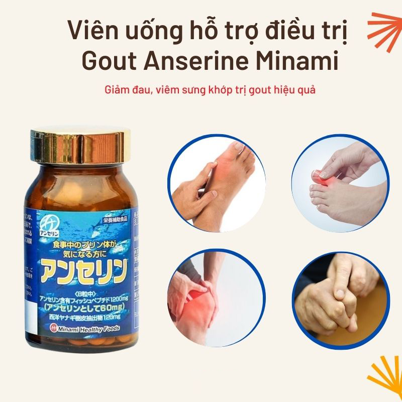 Viên Uống Hỗ Trợ Điều Trị Gout Anserine Minami