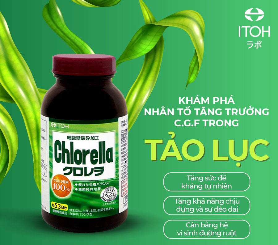 Viên Uống Tảo Lục Naris Cosmetic ITOH Chlorella tăng cường sức khoẻ, loại bỏ độc tố, tăng khả năng miễn dịch