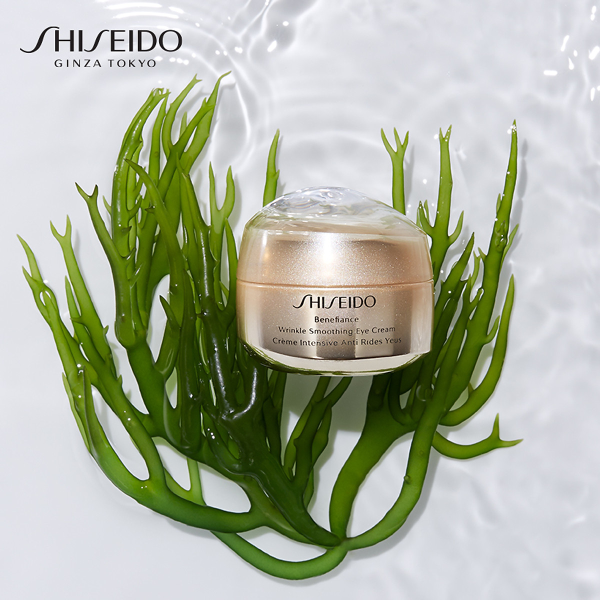 Thành phần có trong Shiseido Benefiance Wrinkle Smoothing Eye Cream
