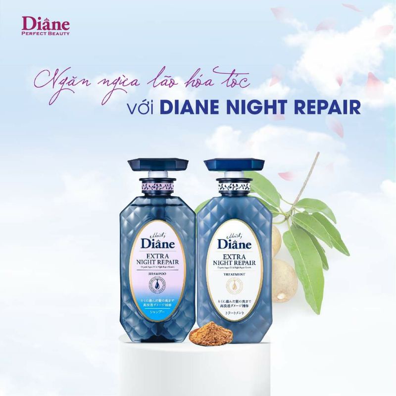 Bộ đôi Dầu Gội và Dầu Xả Ngăn Ngừa Lão Hóa Tóc Moist Diane Extra Night Repair