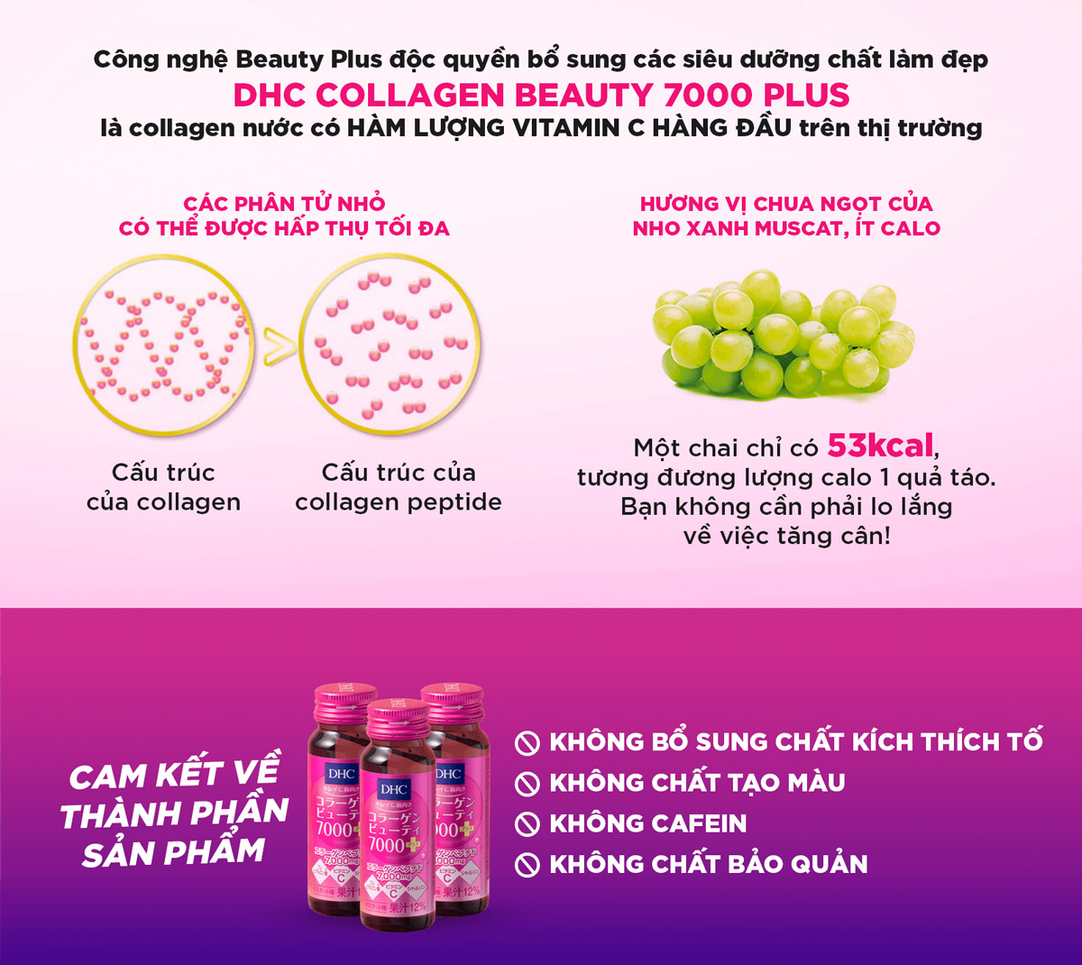 Thành phần của Collagen Nước DHC Beauty 7000 Plus