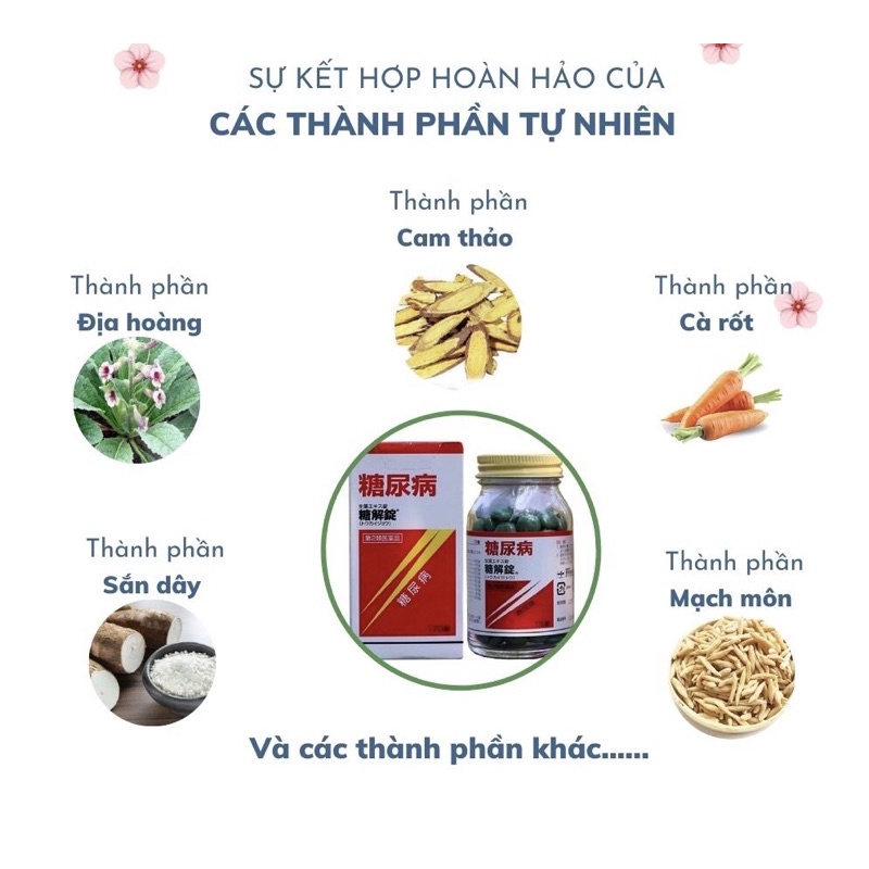 Các thành phần có trong Viên Uống Hỗ Trợ Trị Tiểu Đường Mayado Tokaijyo