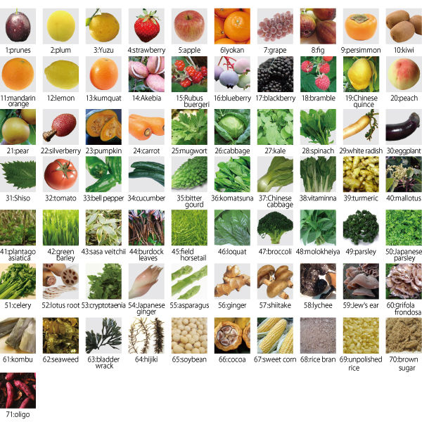 Sản phẩm được chiết xuất từ 71 loại thực vật lên men