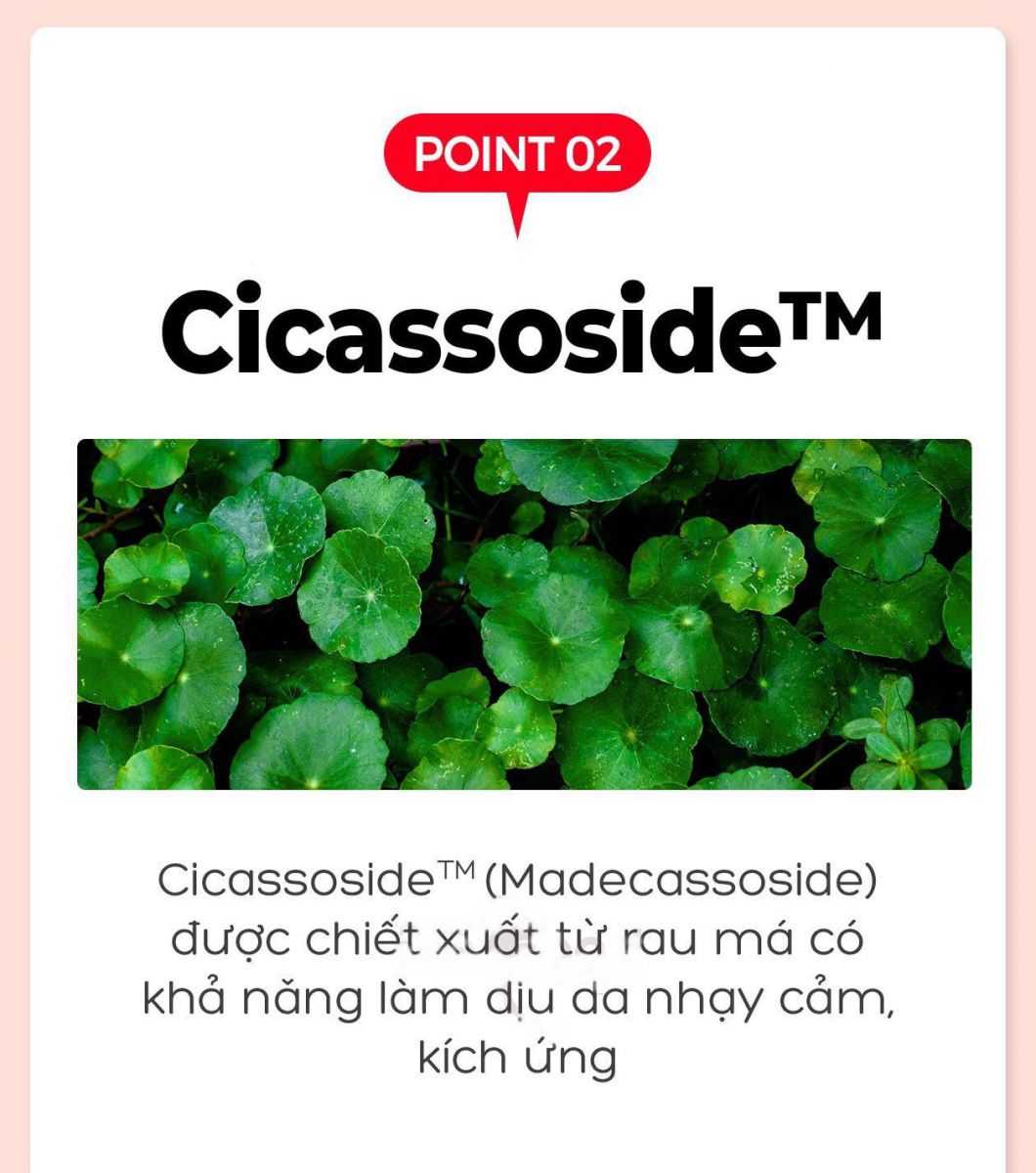 Cicassoside chiết xuất từ rau má tái tạo da, phục hồi vùng da tổn thương