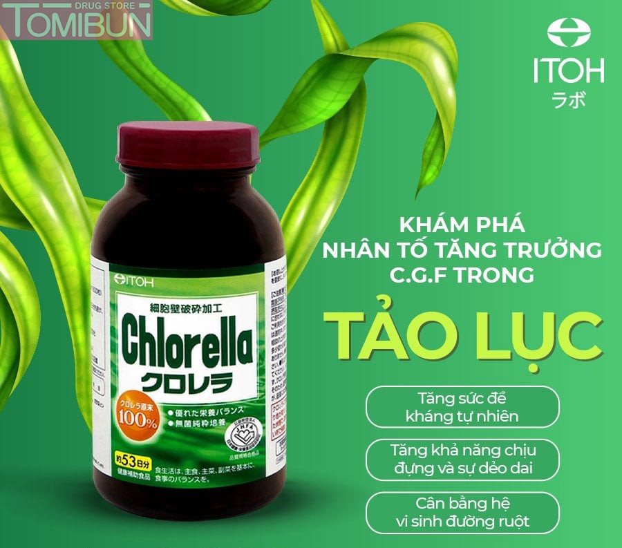 VIÊN UỐNG TẢO LỤC NARIS COSMETIC ITOH CHLORELLA 1600 VIÊN